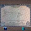 Colorado Birth Certificate Template 1