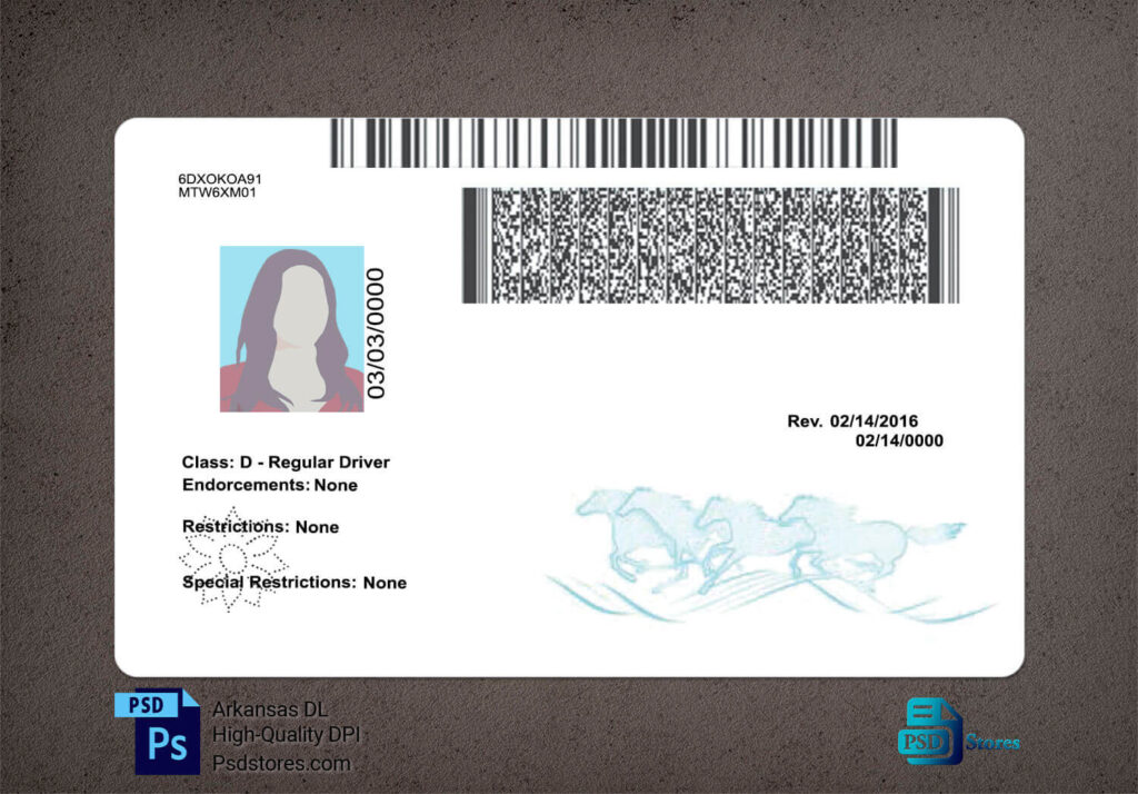 Montana Driver License Template - PSD Stores