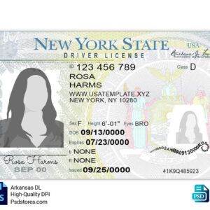 New York Driver License Template PSD Stores New York Driver License Template PSD Stores