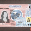 Tennessee Driver License