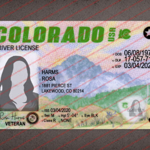 Colorado Driver License