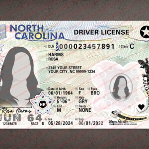 North Carolina Driver License